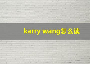 karry wang怎么读